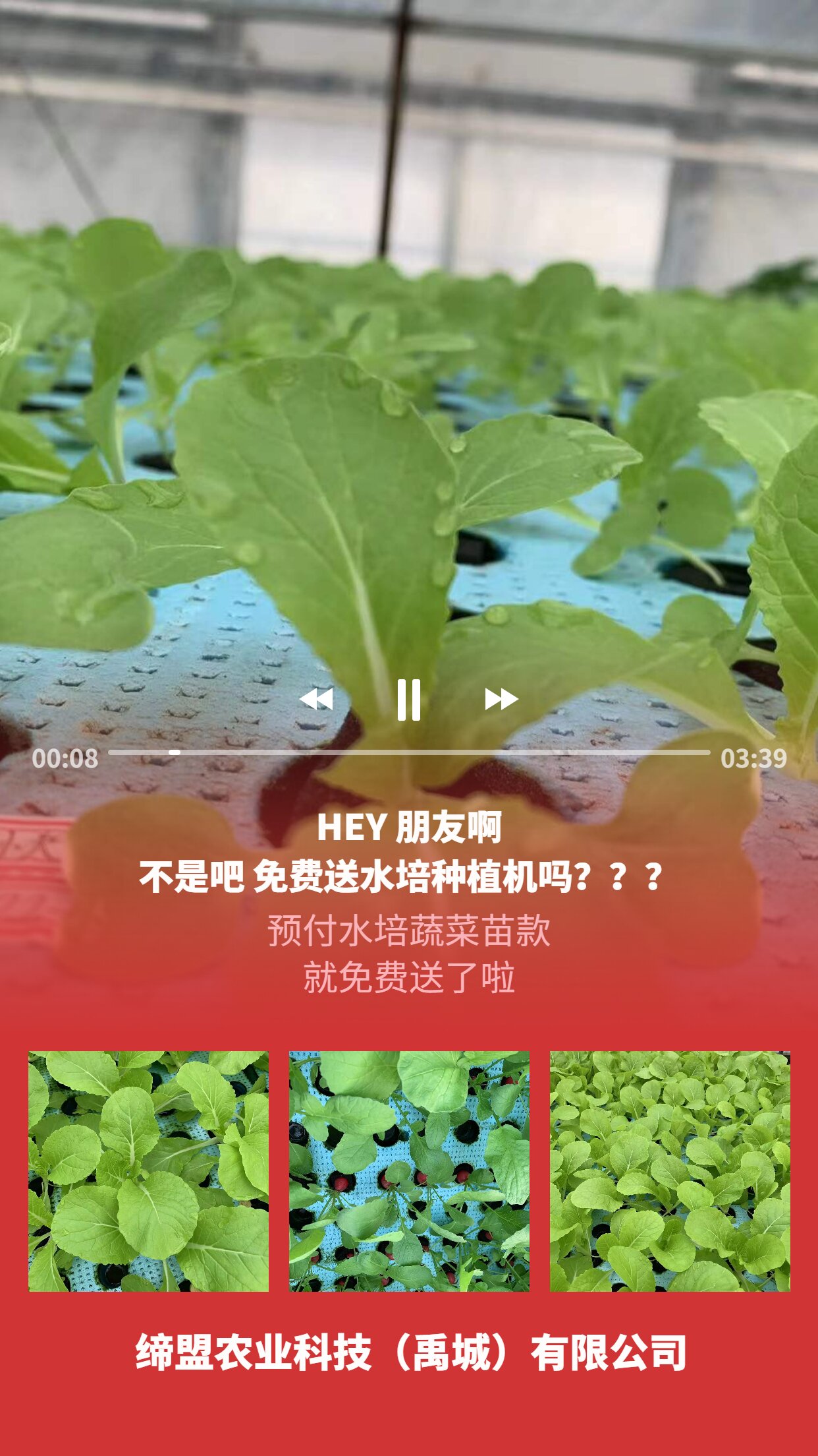 易烊千玺应援宫格海报_proc.jpg