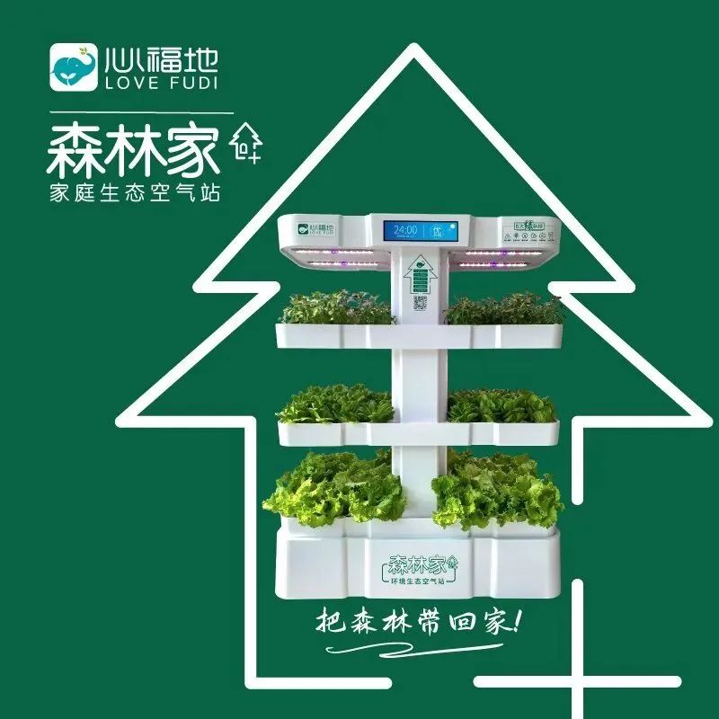 插图004.jpg