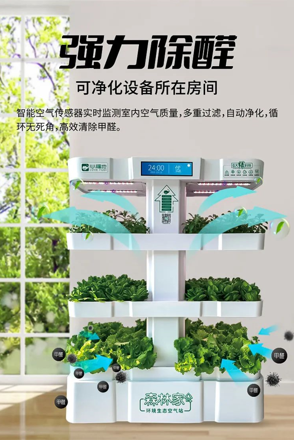插图03.png