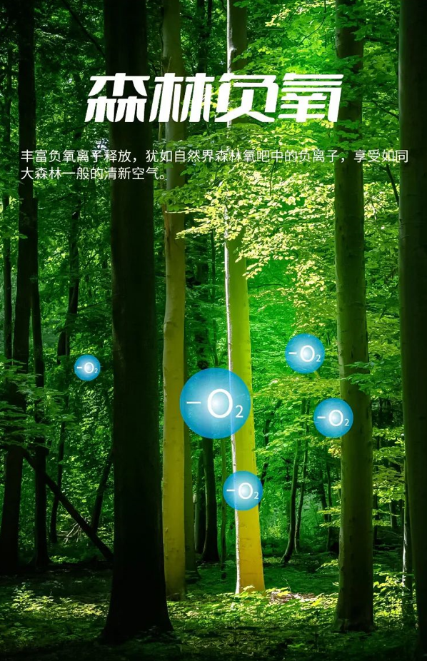 插图0006.png